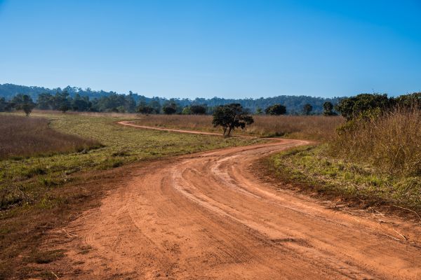 Cost of Dirt Driveway Repair in Loveland