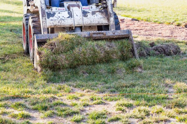 Cost of Landscape Leveling in Loveland