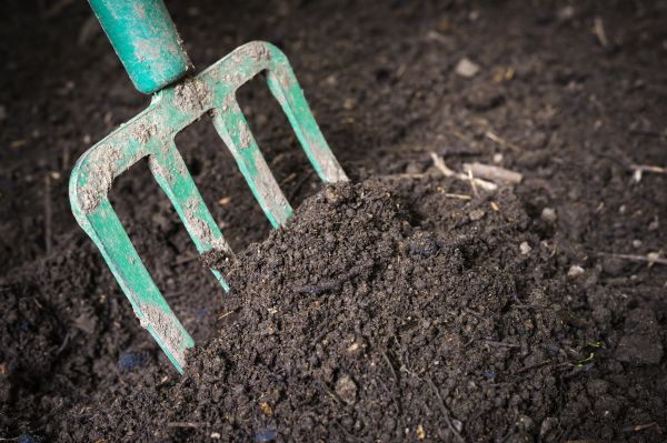 Cost of Topsoil Spreading in Loveland