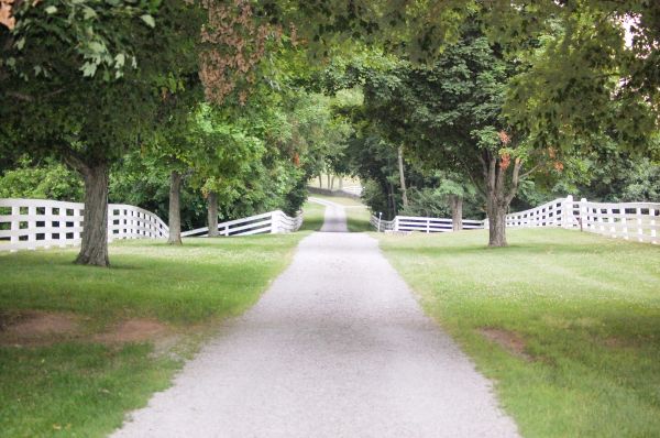 Cost of Road Installation in Loveland