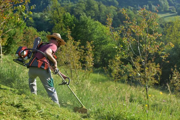 Cost of Slope Trimming in Loveland